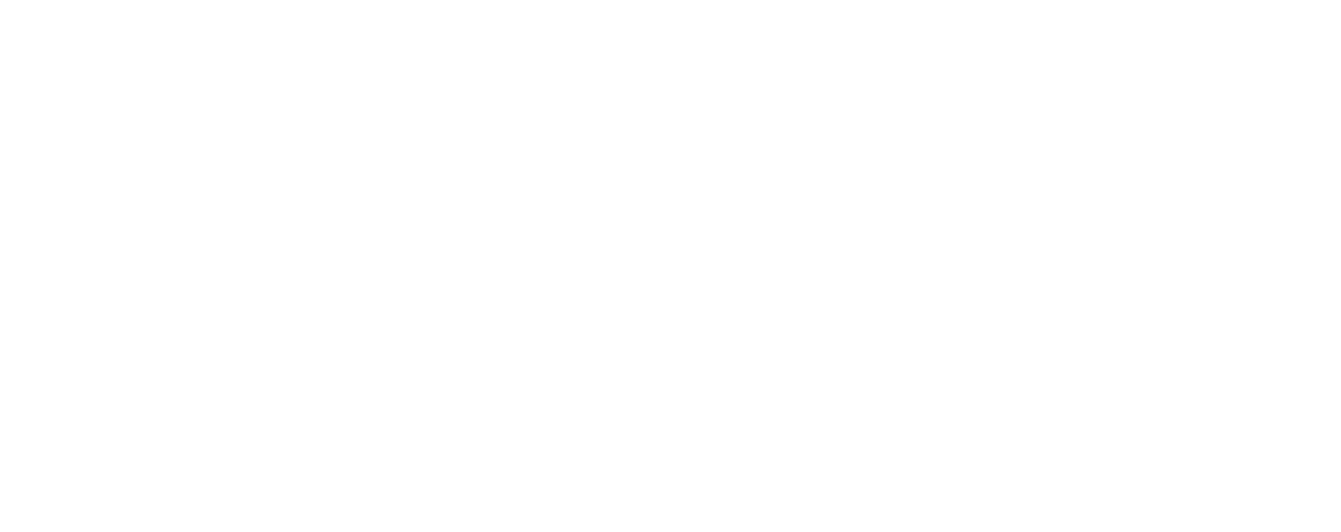 Inercia boutique